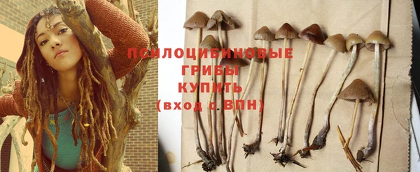 не бодяженный Армянск