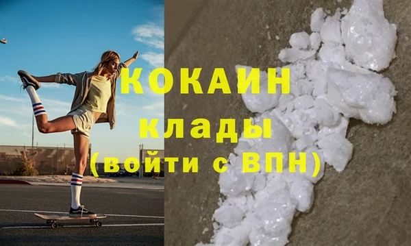 ГАЛЛЮЦИНОГЕННЫЕ ГРИБЫ Аркадак